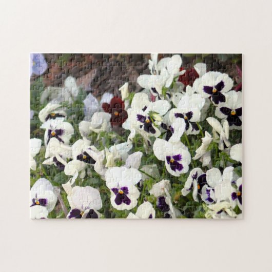 Stiefmütterchen Blumen Puzzle (Horizontal)