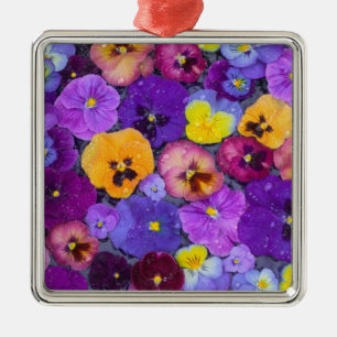 Stiefmütterchen-Blumen schwimmen im Vogelbad mit T Silbernes Ornament