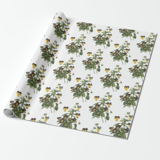 Stiefmütterchen-Blumenmuster Geschenkpapier (Ungerollt)