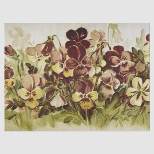 Stiefmütterchen Blumenwasser-Farbtöne Seidenpapier (Vorderseite)