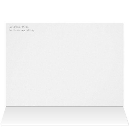 Stiefmütterchen CC0473 Blume Celebration Card (Innenansicht Horizontal (Oben))