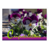 Stiefmütterchen CC0473 Blume Celebration Card (Vorderseite (Horizontal))