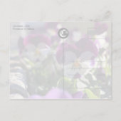 Stiefmütterchen CC0474 Blume Feier Postkarte (Rückseite)