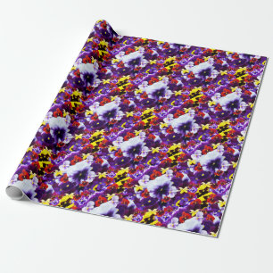 Stiefmütterchen-Feier Geschenkpapier