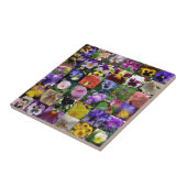 Stiefmütterchen Fliese (Seite)