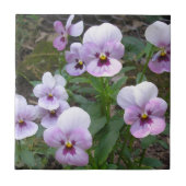 Stiefmütterchen Fliese (Vorderseite)