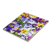 Stiefmütterchen Fliese (Seite)