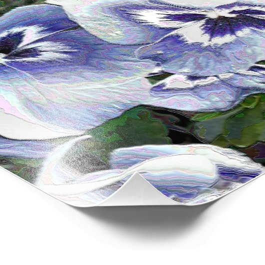 STIEFMÜTTERCHEN FOTODRUCK (Ecke)