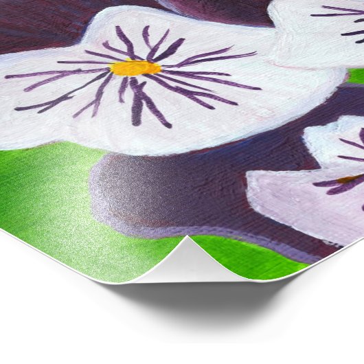 Stiefmütterchen Fotodruck (Ecke)