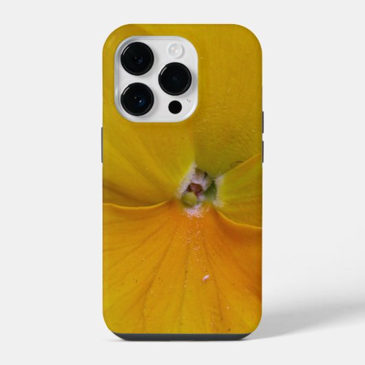 Stiefmütterchen Gelb iPhone Hülle (Rückseite)