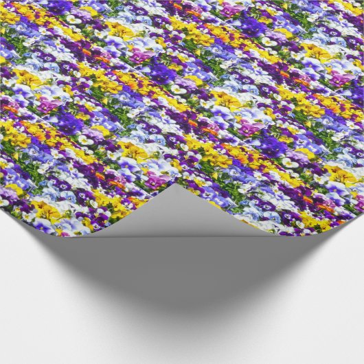 Stiefmütterchen Geschenkpapier (Ecke)