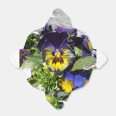 STIEFMÜTTERCHEN! GESCHENKSCHACHTEL (Ungefaltet)