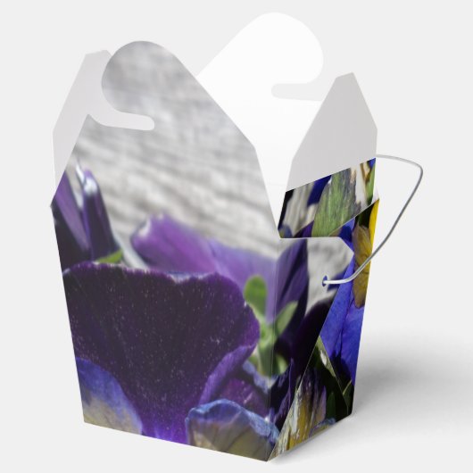 STIEFMÜTTERCHEN! GESCHENKSCHACHTEL (Geöffnet)