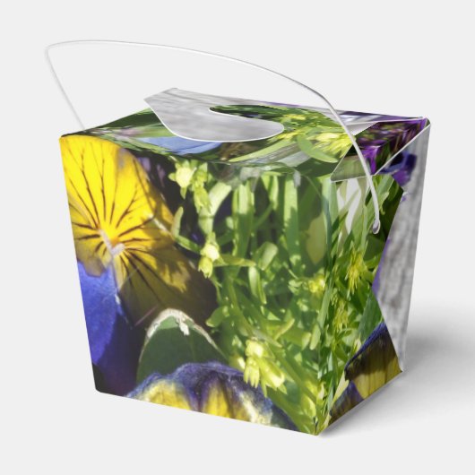 STIEFMÜTTERCHEN! GESCHENKSCHACHTEL (Rückseite)