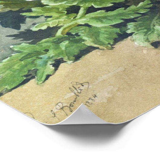 Stiefmütterchen im Winter 1884 Poster (Ecke)