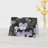 Stiefmütterchen / Isolierte Farbe Karte (Gelbe Blume)