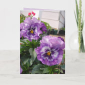Stiefmütterchen Lila Blume floral Mädchen Name Geb Karte (Rückseite)