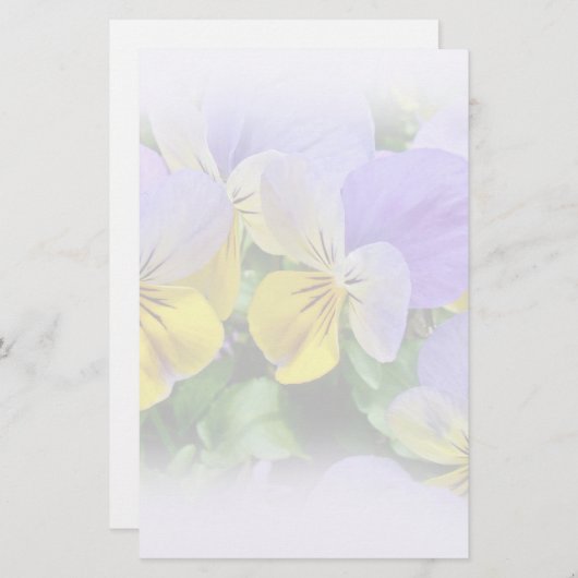 Stiefmütterchen - Lila, gelb Briefpapier (Vorne/Hinten)