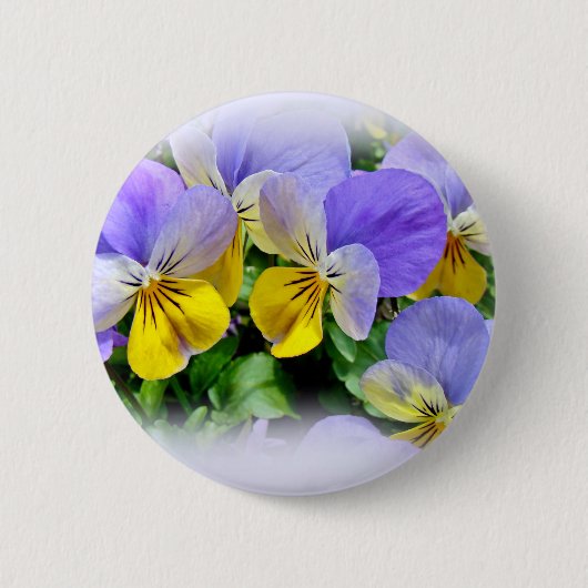 Stiefmütterchen - Lila, gelb Button (Vorderseite)
