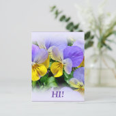 Stiefmütterchen - Lila, gelb Postkarte (Stehend Vorderseite)