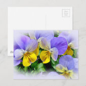 Stiefmütterchen - Lila, gelb Postkarte (Vorne/Hinten)