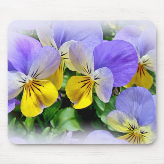 Stiefmütterchen - Lila und gelb Mousepad (Vorne)