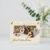 Stiefmütterchen Lila Weiß Postkarte (Stehend Vorderseite)