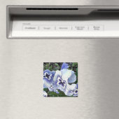 STIEFMÜTTERCHEN MAGNET (In Situ (Geschirrspüler))