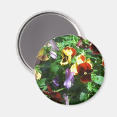 Stiefmütterchen Magnet (Vorderseite/Rückseite)