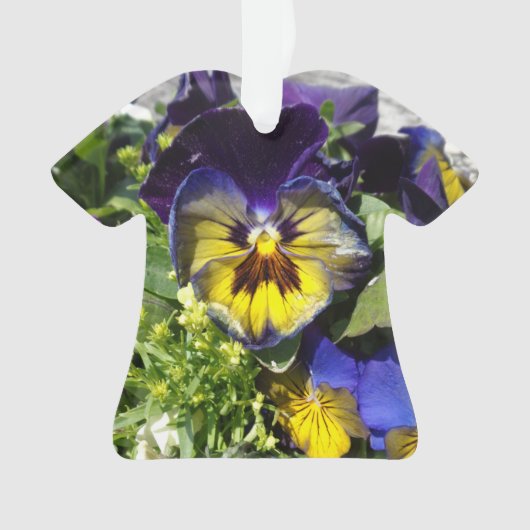 STIEFMÜTTERCHEN! ORNAMENT (Vorderseite)