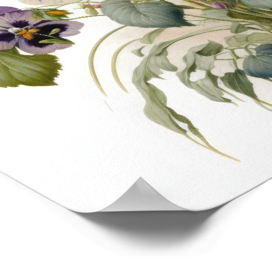 Stiefmütterchen Pansy Blume Art Print Poster (Ecke)