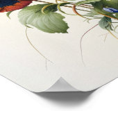 Stiefmütterchen Pansy Blume Art Print Poster (Ecke)