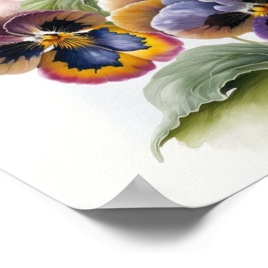 Stiefmütterchen Pansy Blume Art Print Poster (Ecke)