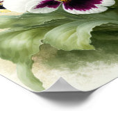 Stiefmütterchen Pansy Blume Art Print Poster (Ecke)