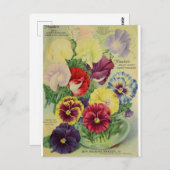 Stiefmütterchen Pansy Blume Botanische Vintage Pos Postkarte (Vorne/Hinten)