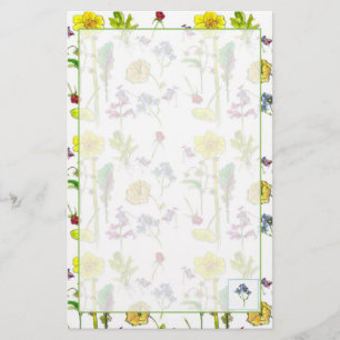 Stiefmütterchen Pflanze Zeichnend botanische Briefpapier