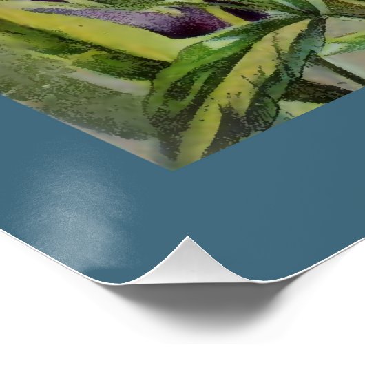 Stiefmütterchen Poster (Ecke)