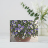 Stiefmütterchen Postkarte (Stehend Vorderseite)