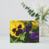 Stiefmütterchen Postkarte (Stehend Vorderseite)