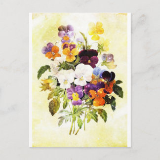 Stiefmütterchen Postkarte