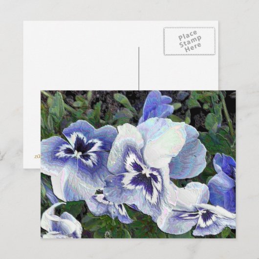 STIEFMÜTTERCHEN POSTKARTE (Vorne/Hinten)