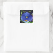 Stiefmütterchen Quadratischer Aufkleber (Tasche)