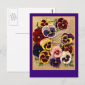 Stiefmütterchen-Samenpaket-Kunst auf Karten (Vorne/Hinten)