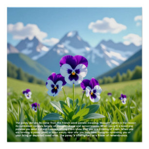 Stiefmütterchen-Symbolik Poster