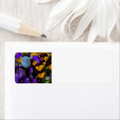 Stiefmütterchen und Hausanschrift (Insitu)