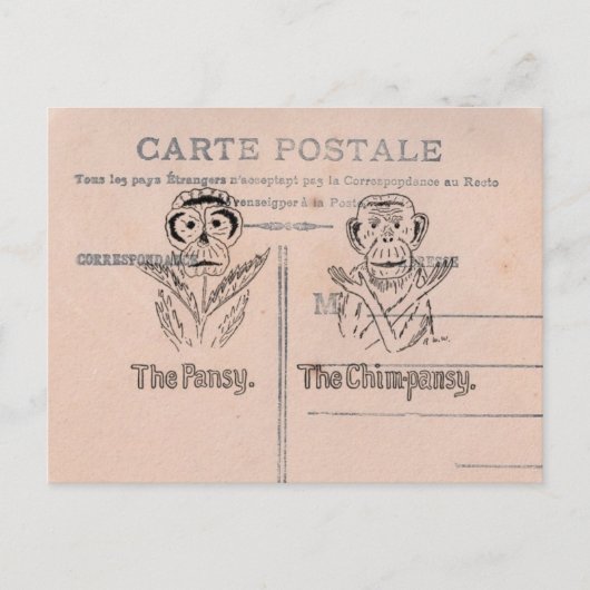 Stiefmütterchen und Schimpansen Humor Postkarte (Vorderseite)