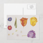 Stiefmütterchen und Tulips Postkarte (Vorne/Hinten)