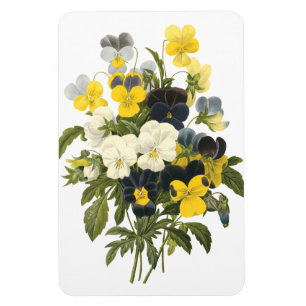 Stiefmütterchen und Veilchen Vintage-Kunst Magnet