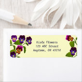 Stiefmütterchen und Violas individuell anpassbare (Insitu)