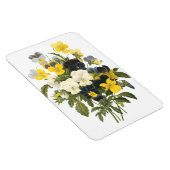 Stiefmütterchen und Violets Magnet (Rechte Seite)